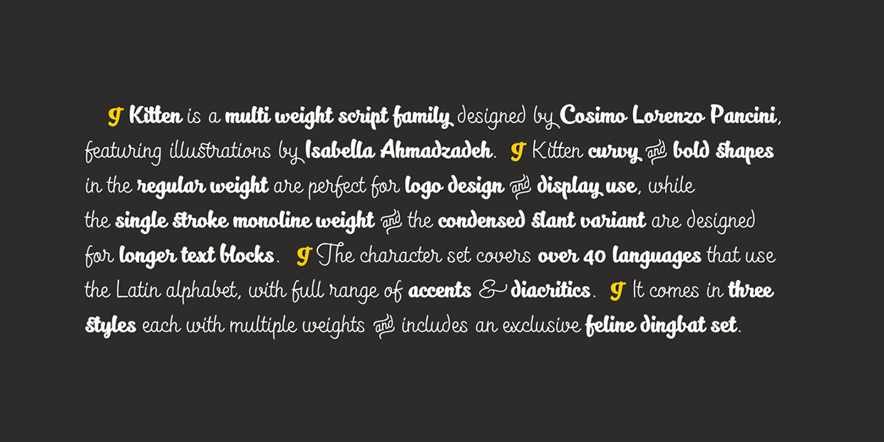 Kitten typface test image